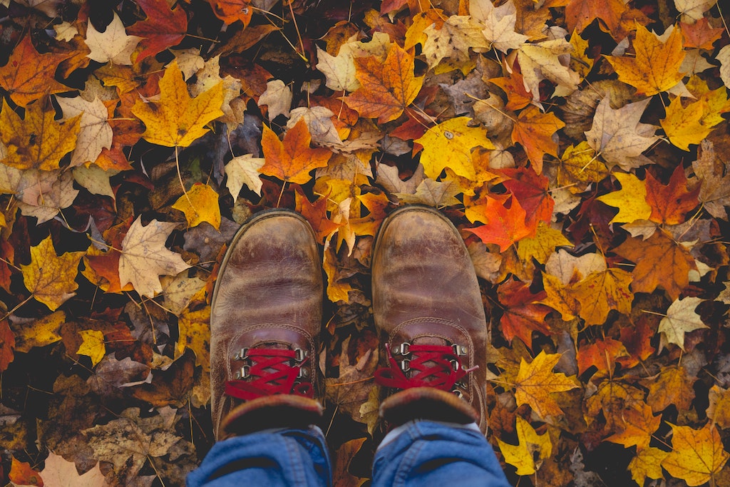 4 Fantastically Fun Fall Ways to Enjoy the Changing Seasons