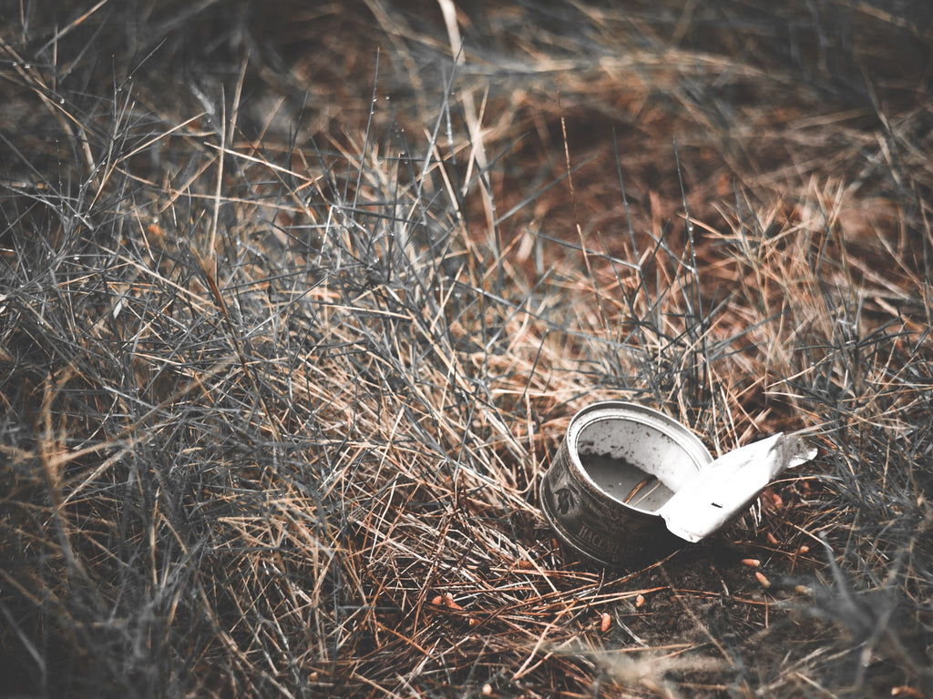 How to Reduce Your Waste When Camping and Eco Tips!